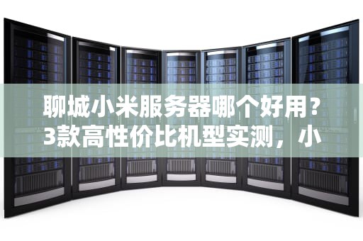 聊城小米服务器哪个好用？3款高性价比机型实测，小白秒变老司机！