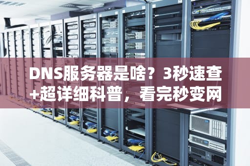 DNS服务器是啥？3秒速查+超详细科普，看完秒变网络老司机！
