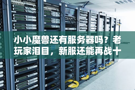 小小魔兽还有服务器吗？老玩家泪目，新服还能再战十年！