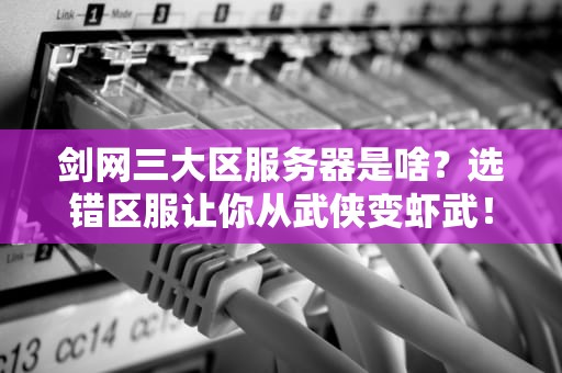 剑网三大区服务器是啥？选错区服让你从武侠变虾武！