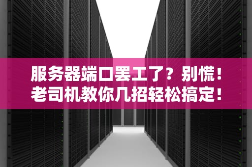 服务器端口罢工了？别慌！老司机教你几招轻松搞定！