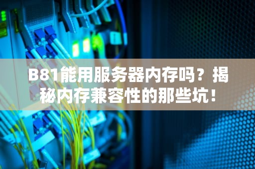 B81能用服务器内存吗？揭秘内存兼容性的那些坑！