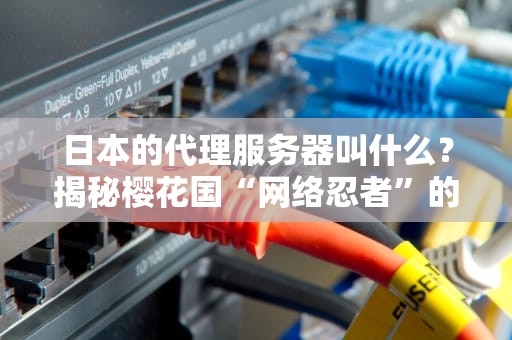 日本的代理服务器叫什么？揭秘樱花国“网络忍者”的隐藏技巧！