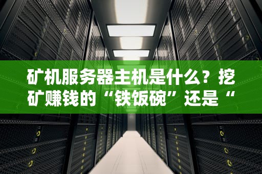 矿机服务器主机是什么？挖矿赚钱的“铁饭碗”还是“电老虎”？