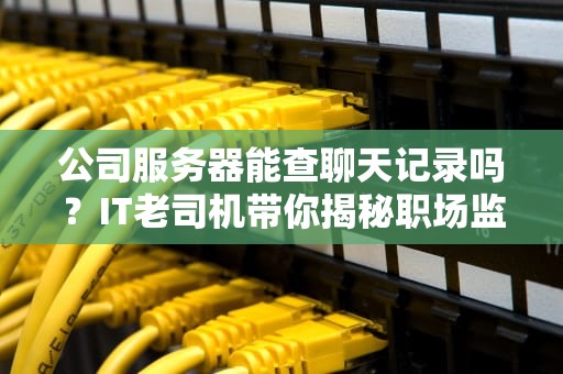 公司服务器能查聊天记录吗？IT老司机带你揭秘职场监控风云！