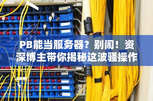 PB能当服务器？别闹！资深博主带你揭秘这波骚操作