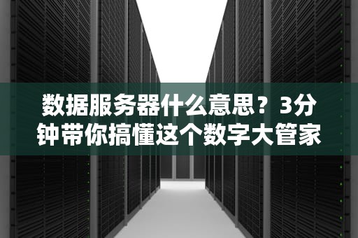 数据服务器什么意思？3分钟带你搞懂这个数字大管家！