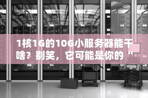 1核1G的10G小服务器能干啥？别笑，它可能是你的“瑞士军刀”！