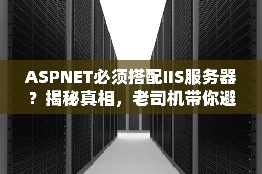 ASPNET必须搭配IIS服务器？揭秘真相，老司机带你避坑！