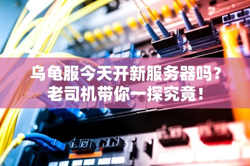 乌龟服今天开新服务器吗？老司机带你一探究竟！
