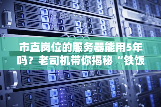 市直岗位的服务器能用5年吗？老司机带你揭秘“铁饭碗”的IT真相！