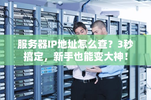 服务器IP地址怎么查？3秒搞定，新手也能变大神！