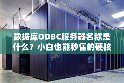 数据库ODBC服务器名称是什么？小白也能秒懂的硬核科普！