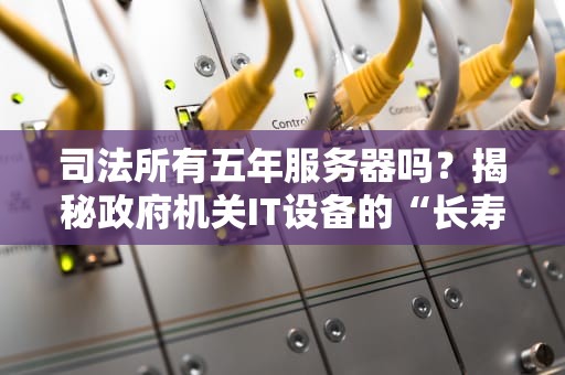 司法所有五年服务器吗？揭秘政府机关IT设备的“长寿”秘诀！