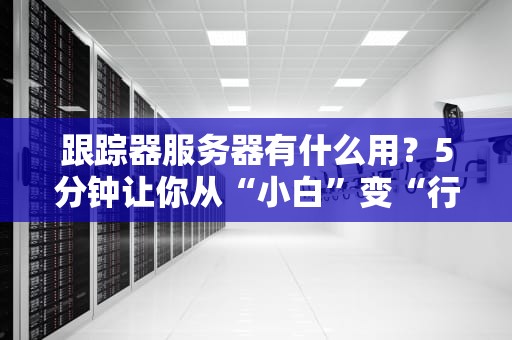 跟踪器服务器有什么用？5分钟让你从“小白”变“行家”！