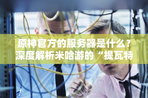 原神官方的服务器是什么？深度解析米哈游的“提瓦特大陆”如何稳如老狗！