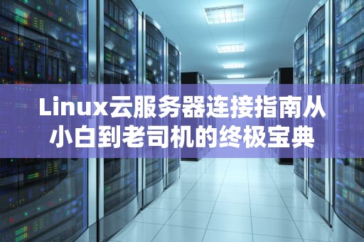 Linux云服务器连接指南从小白到老司机的终极宝典