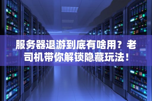 服务器退游到底有啥用？老司机带你解锁隐藏玩法！