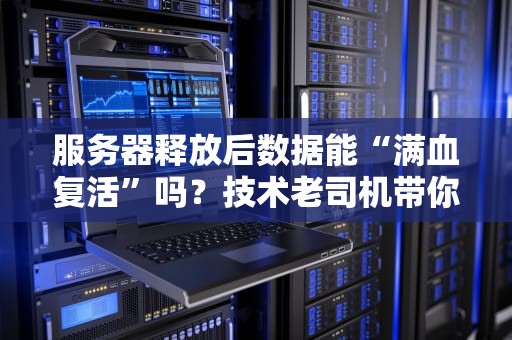 服务器释放后数据能“满血复活”吗？技术老司机带你飙车解密！