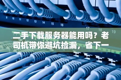 二手下载服务器能用吗？老司机带你避坑捡漏，省下一年鸡腿钱！