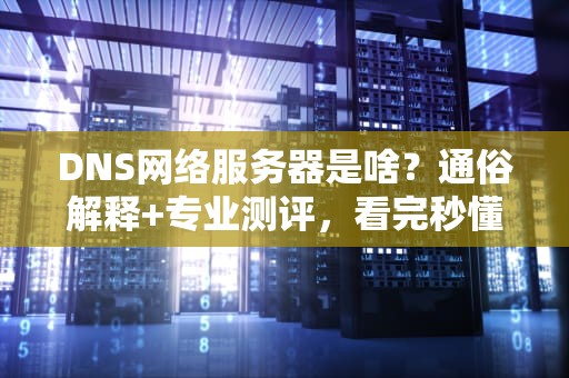 DNS网络服务器是啥？通俗解释+专业测评，看完秒懂！