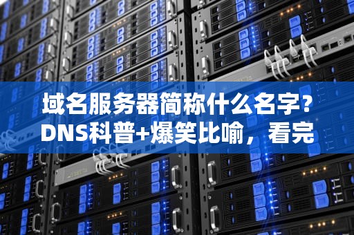 域名服务器简称什么名字？DNS科普+爆笑比喻，看完秒懂！