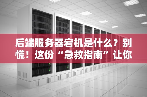 后端服务器宕机是什么？别慌！这份“急救指南”让你秒变运维老司机！