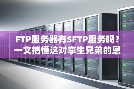FTP服务器有SFTP服务吗？一文搞懂这对孪生兄弟的恩怨情仇