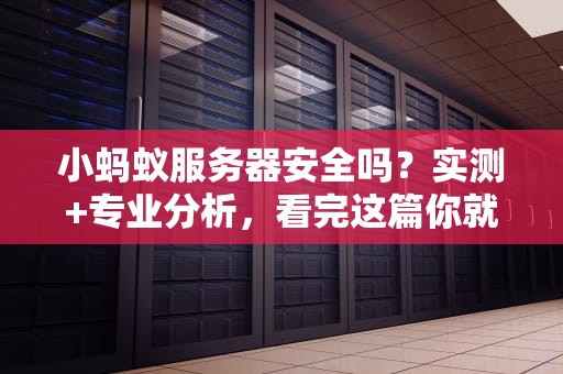 小蚂蚁服务器安全吗？实测+专业分析，看完这篇你就懂了！