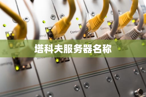 塔科夫服务器名称