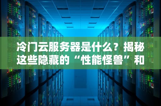 冷门云服务器是什么？揭秘这些隐藏的“性能怪兽”和“省钱神器”！