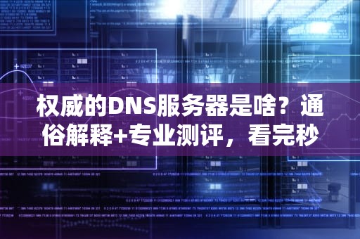 权威的DNS服务器是啥？通俗解释+专业测评，看完秒变域名老司机！