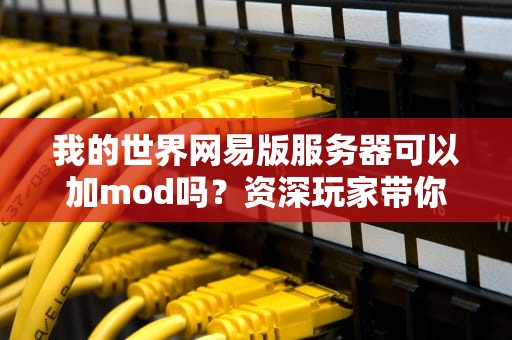 我的世界网易版服务器可以加mod吗？资深玩家带你一探究竟