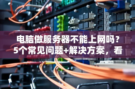 电脑做服务器不能上网吗？5个常见问题+解决方案，看完秒懂！