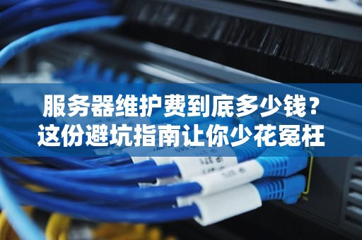 服务器维护费到底多少钱？这份避坑指南让你少花冤枉钱！
