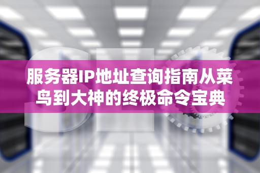 服务器IP地址查询指南从菜鸟到大神的终极命令宝典