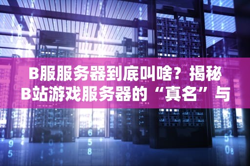 B服服务器到底叫啥？揭秘B站游戏服务器的“真名”与性能测评！