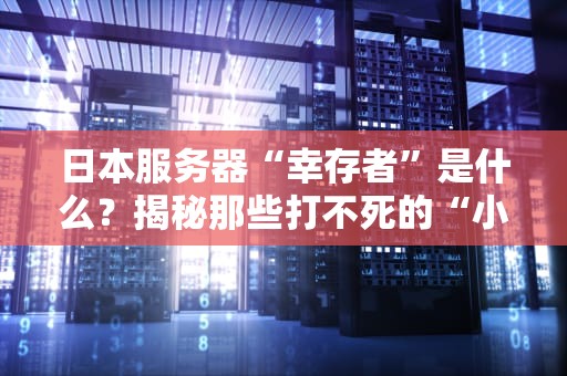 日本服务器“幸存者”是什么？揭秘那些打不死的“小强”服务器！