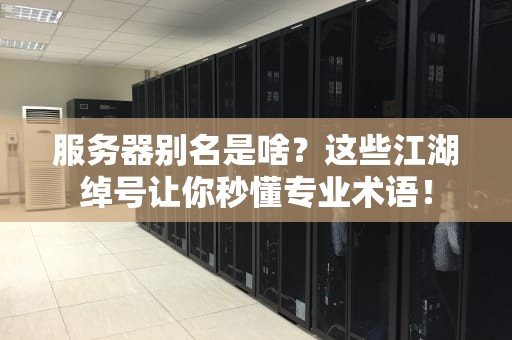 服务器别名是啥？这些江湖绰号让你秒懂专业术语！