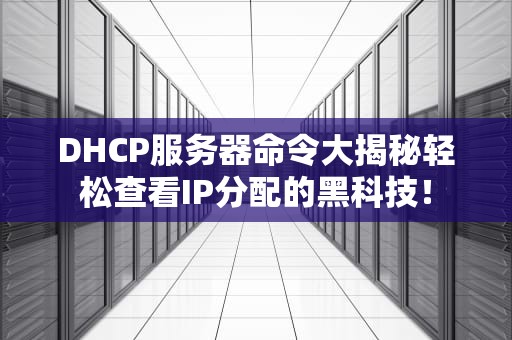 DHCP服务器命令大揭秘轻松查看IP分配的黑科技！