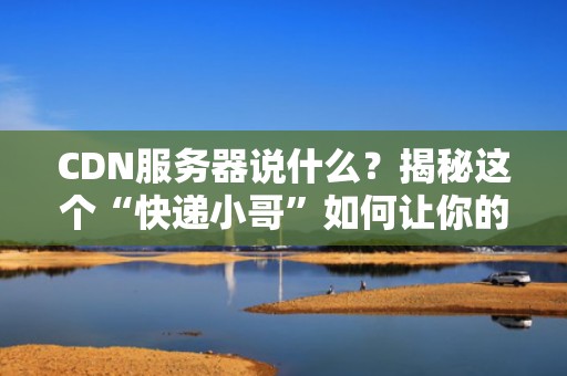 CDN服务器说什么？揭秘这个“快递小哥”如何让你的网站飞起来！