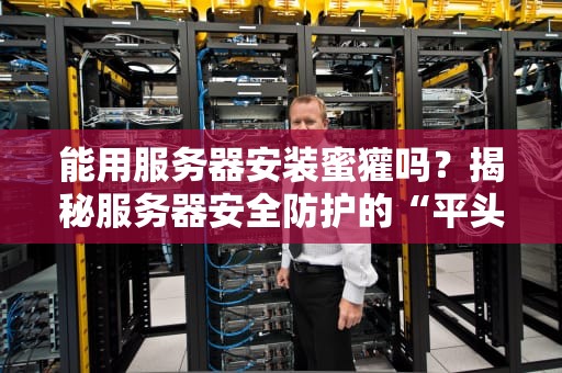能用服务器安装蜜獾吗？揭秘服务器安全防护的“平头哥”战术！