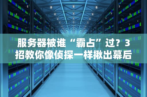服务器被谁“霸占”过？3招教你像侦探一样揪出幕后黑手！