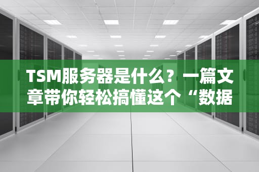 TSM服务器是什么？一篇文章带你轻松搞懂这个“数据保险箱”