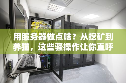 用服务器做点啥？从挖矿到养猫，这些骚操作让你直呼内行！