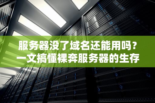 服务器没了域名还能用吗？一文搞懂裸奔服务器的生存指南！