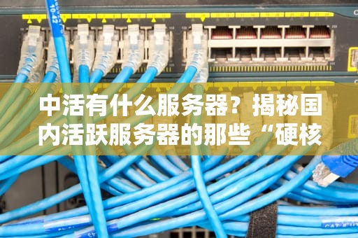 中活有什么服务器？揭秘国内活跃服务器的那些“硬核选手”！