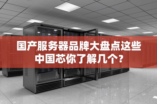 国产服务器品牌大盘点这些中国芯你了解几个？