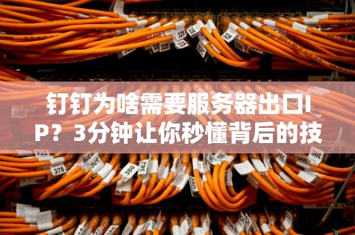 钉钉为啥需要服务器出口IP？3分钟让你秒懂背后的技术玄机！