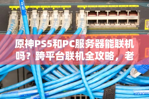 原神PS5和PC服务器能联机吗？跨平台联机全攻略，老司机带你飞！